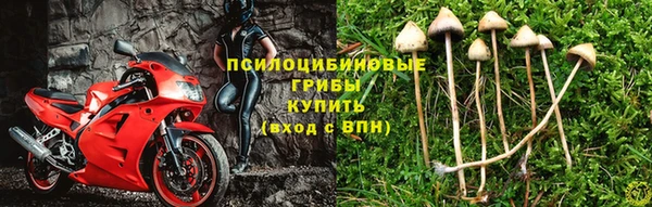 jwh Алзамай
