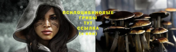 спиды Аркадак