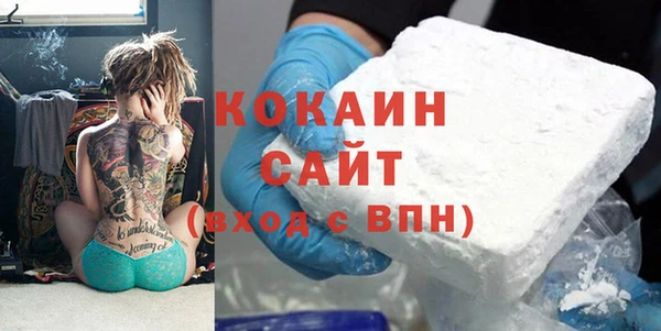твердый Алексин