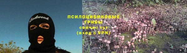 твердый Алексин