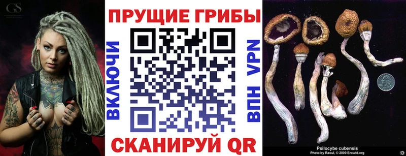 Псилоцибиновые грибы мицелий  Могоча 